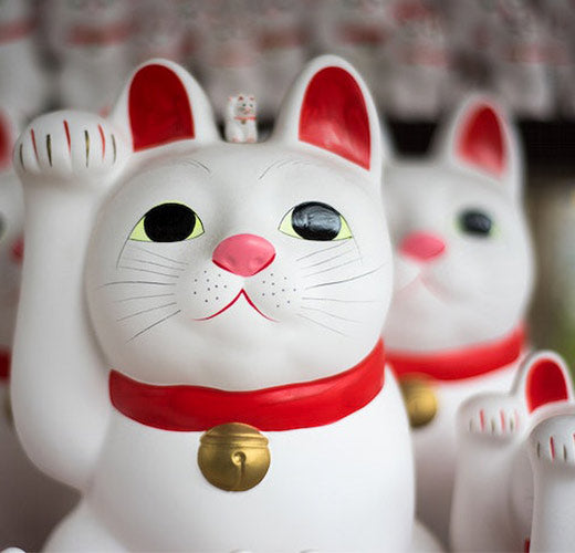 Tout savoir sur le Maneki Neko