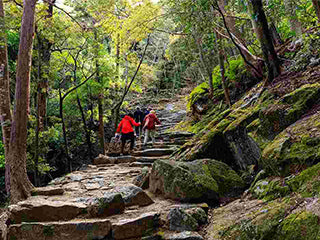 articles de camping et de randonnée du Japon