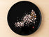 Plateau Miyabi Sakura
