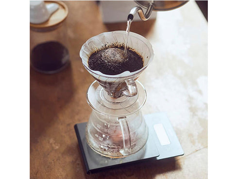 Porte-filtre Hario Plastique