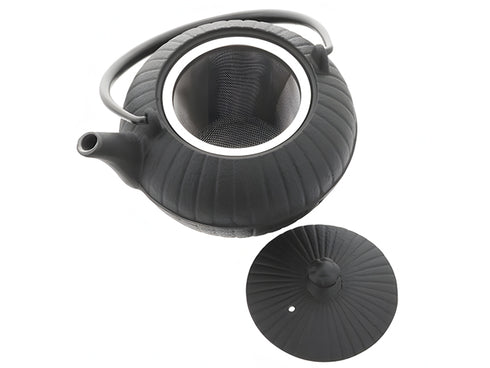 Théière Nanbu Seido