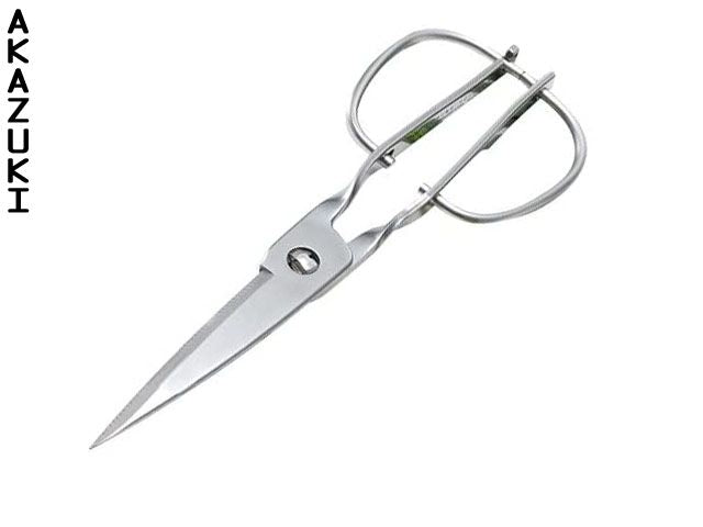 Ciseau à Bois Japonais Authentique - Acier Carbone Et Fer Doux - Taille 12 Mm - Pour Travail Du Bois Précision